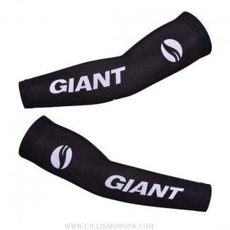 2014 Giant Manguitos Ciclismo
