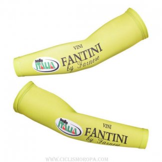 2013 Vini Fantini Manguitos Ciclismo
